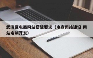武清区电商网站搭建要求（电商网站建设 网站定制开发）