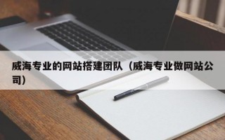 威海专业的网站搭建团队（威海专业做网站公司）
