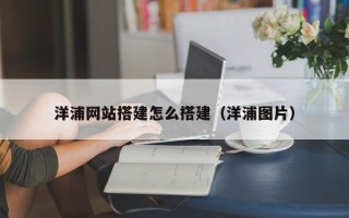 洋浦网站搭建怎么搭建（洋浦图片）
