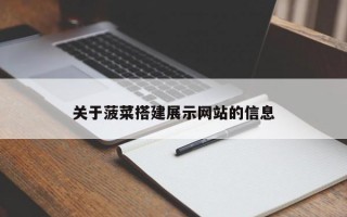关于菠菜搭建展示网站的信息