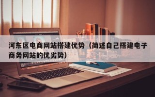 河东区电商网站搭建优势（简述自己搭建电子商务网站的优劣势）