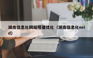湖南信息化网站搭建优化（湖南信息化eeid）