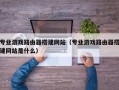 专业游戏路由器搭建网站（专业游戏路由器搭建网站是什么）