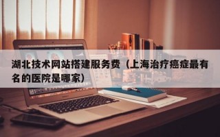 湖北技术网站搭建服务费（上海治疗癌症最有名的医院是哪家）