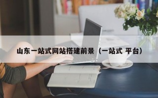 山东一站式网站搭建前景（一站式 平台）