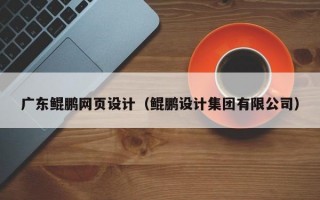 广东鲲鹏网页设计（鲲鹏设计集团有限公司）