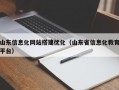 山东信息化网站搭建优化（山东省信息化教育平台）