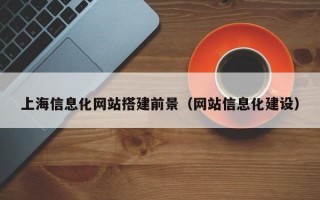 上海信息化网站搭建前景（网站信息化建设）