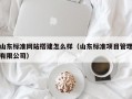 山东标准网站搭建怎么样（山东标准项目管理有限公司）